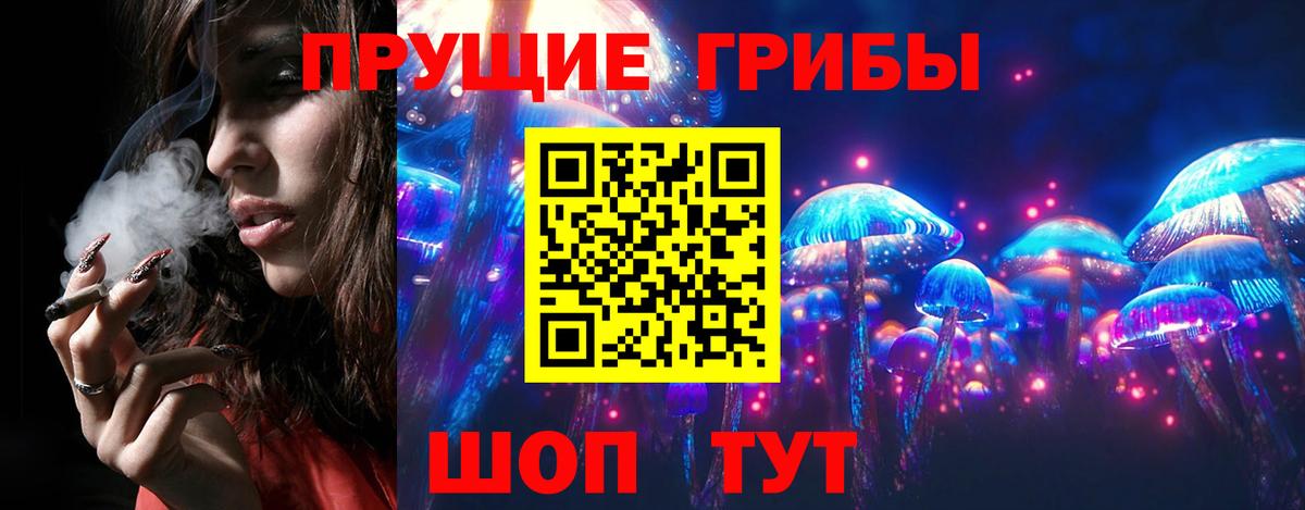 Галлюциногенные грибы мицелий Минеральные Воды