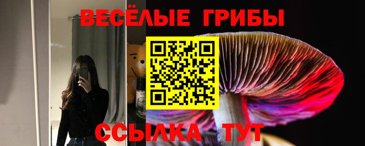 продажа наркотиков  Галлюциногенные грибы Cubensis  Вход с VPN  Минеральные Воды 